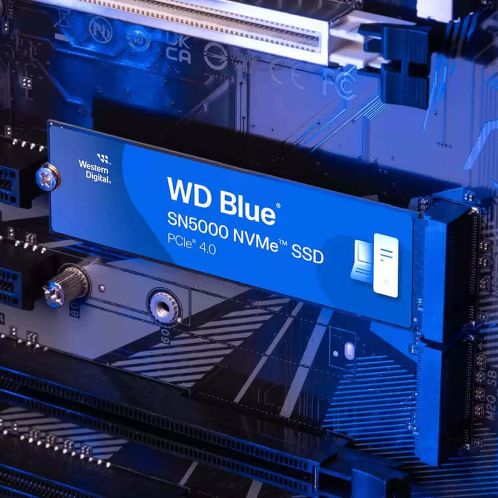 Hình ảnh chi tiết Ổ cứng máy vi tính SSD hiệu WESTERN DIGITAL WDS100T4B0E-00CNZ0, 1TB - Ảnh số 2