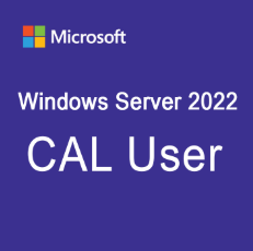 Hình ảnh chi tiết Microsoft Windows Server 2019 R18-05768 - Ảnh số 1