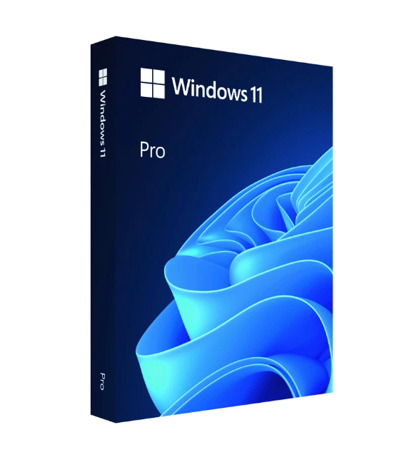 Hình ảnh chi tiết PHẦN MỀM WIN PRO FPP 11 64-BIT ENG INTL USB (HAV-00163) - Ảnh số 1