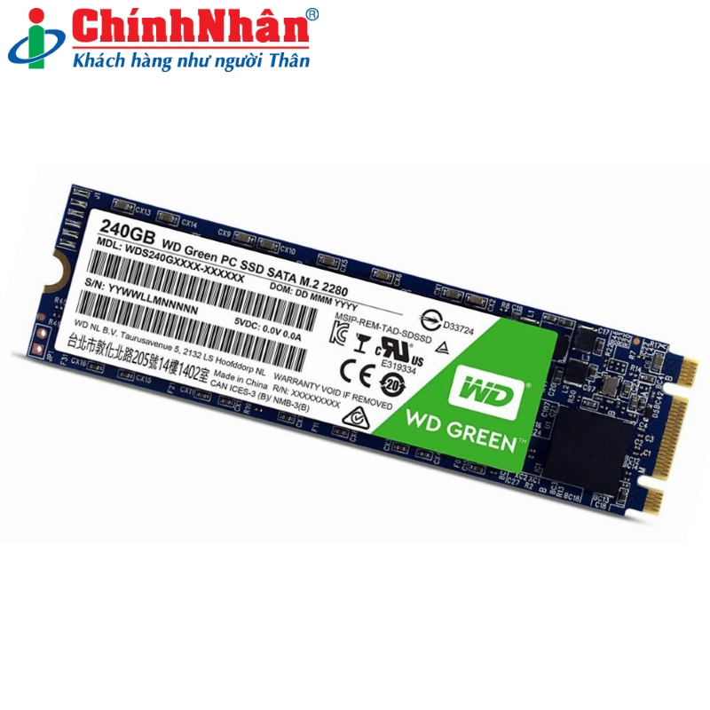 Hình ảnh chi tiết SSD Western M2-2280 240GB WDS240G2G0B - Ảnh số 2