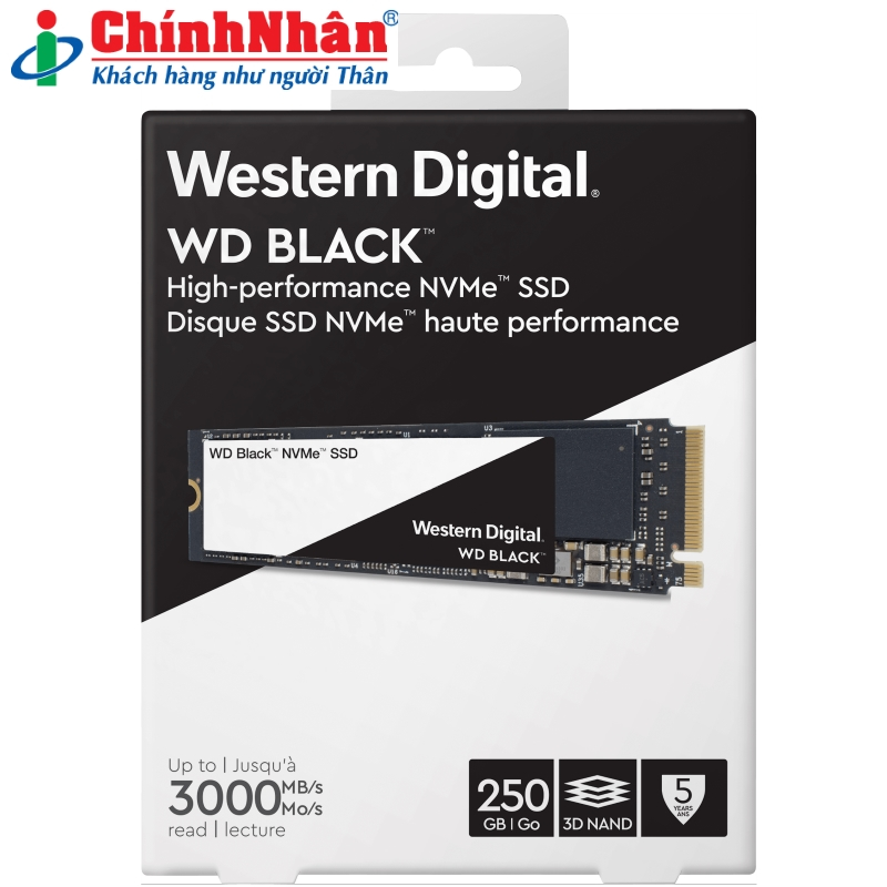 Hình ảnh chi tiết SSD Western M2-2280 250GB WDS250G3X0C - Ảnh số 2
