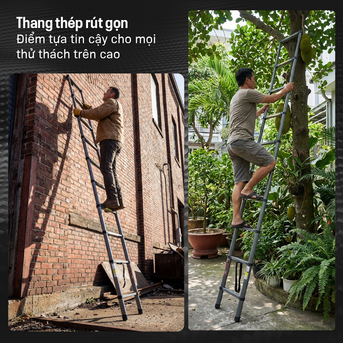 Hình ảnh chi tiết Thang rút đơn thép carbon Fujihome STL39 - Ảnh số 15