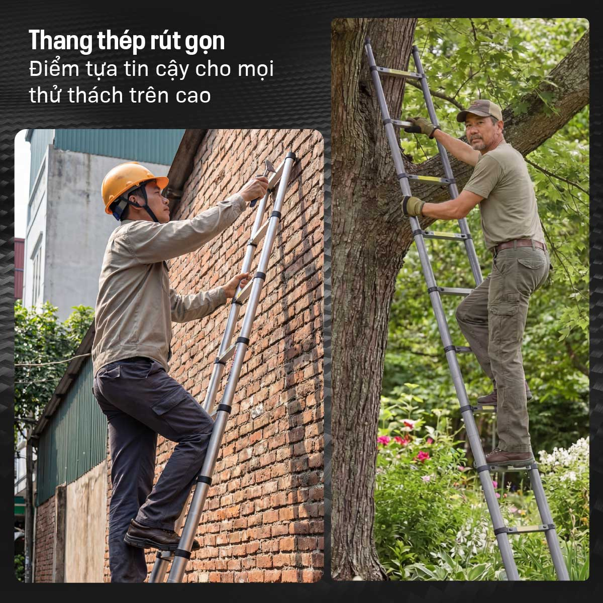 Hình ảnh chi tiết Thang rút đơn thép carbon Fujihome STL55 - Ảnh số 18