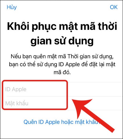 Nhập ID Apple và mật khẩu Apple ID của bạn.