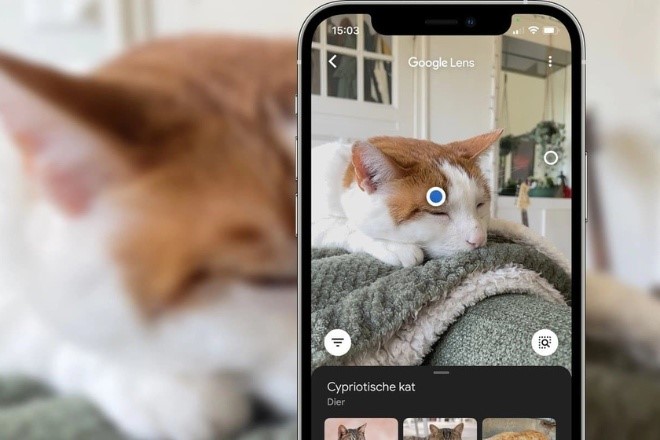 Google Chrome cập nhật tính năng tìm kiếm mới với Google Lens