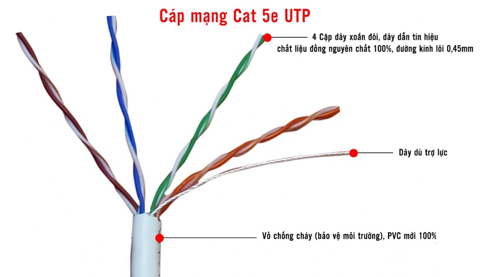 dây cáp mạng amp cat5e